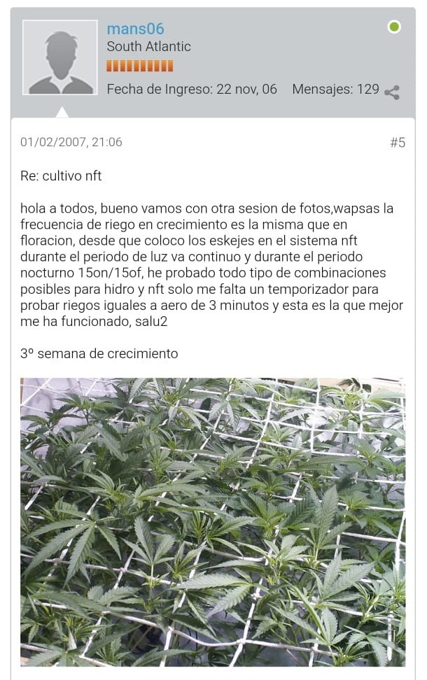 35 Years of Cannabis Cultivation & Breeding Experience whatsapp image 2026 05 15 at 22.28.05