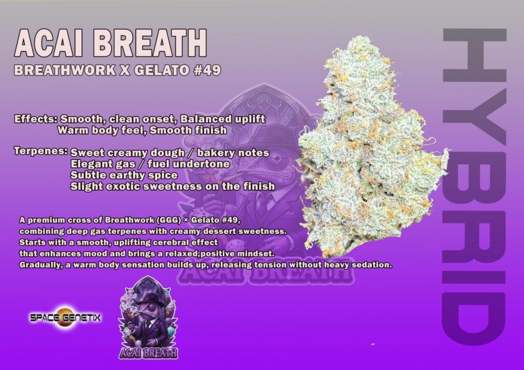 acai breath craft weed pattaya