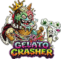 gelato crasher wholesale cannabis thailand