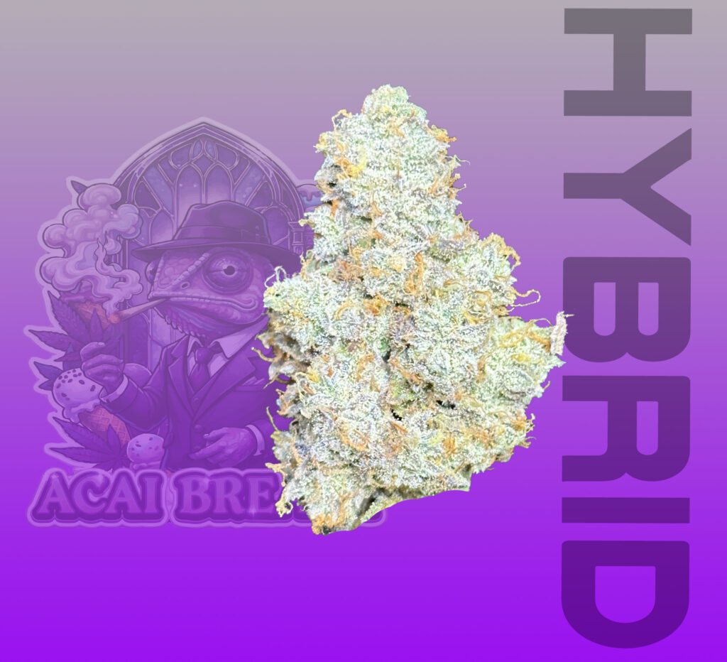 hybrid cannabis flower thailand