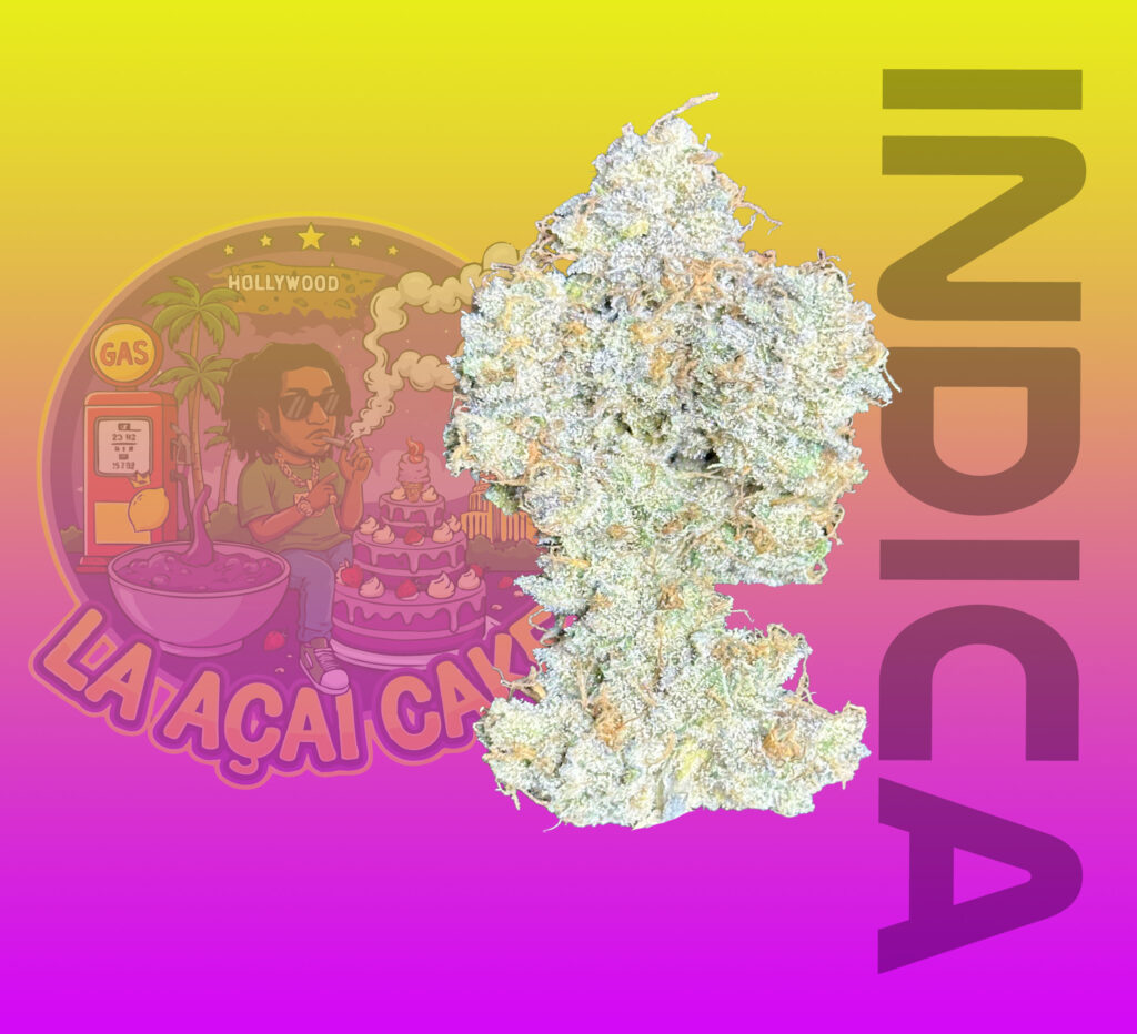 indica cannabis thailand space genetix