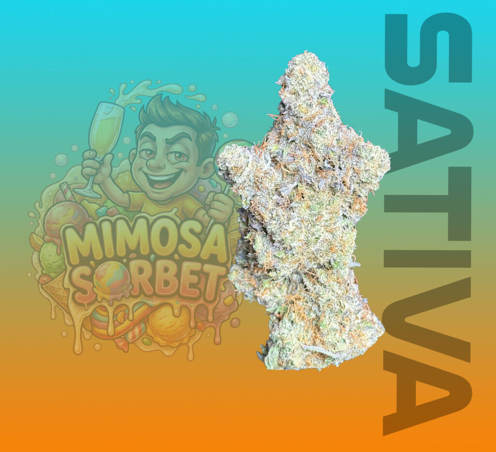 sativa strain thailand space genetix