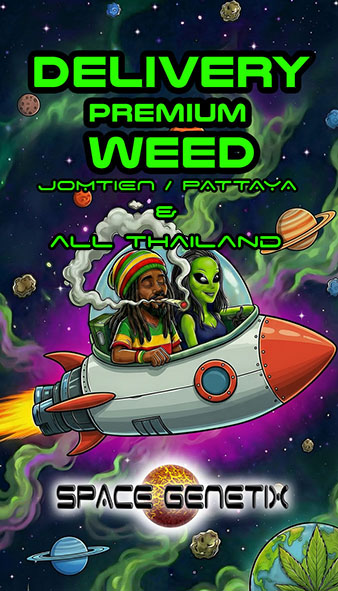 space genetix wholesale weed thailand