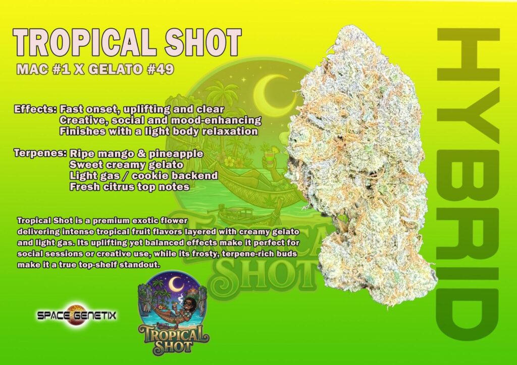 tropical shot weed shop jomtien